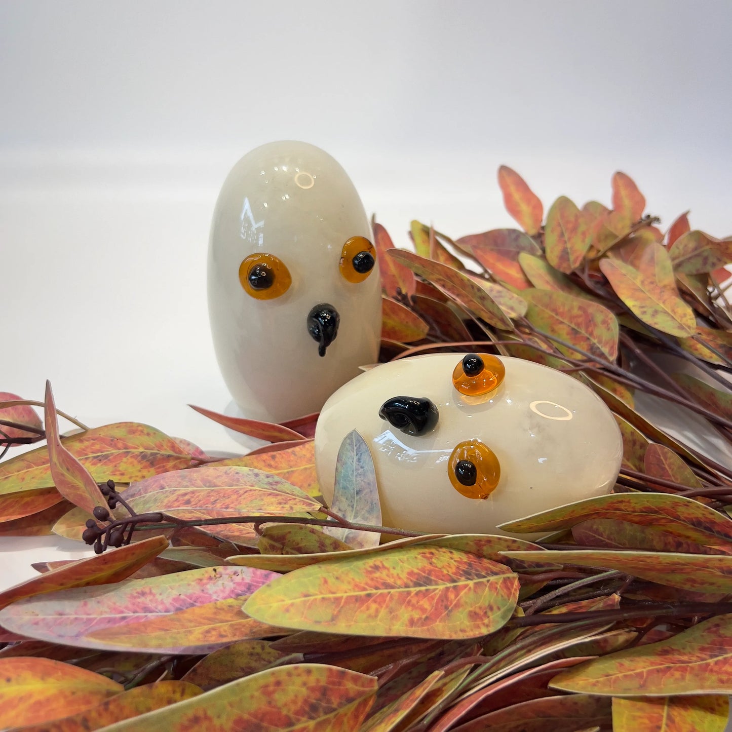 Ivory Owl