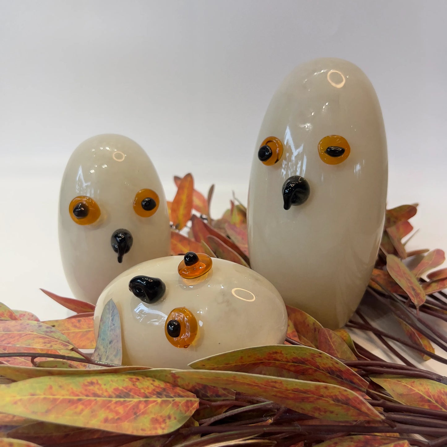 Ivory Owl