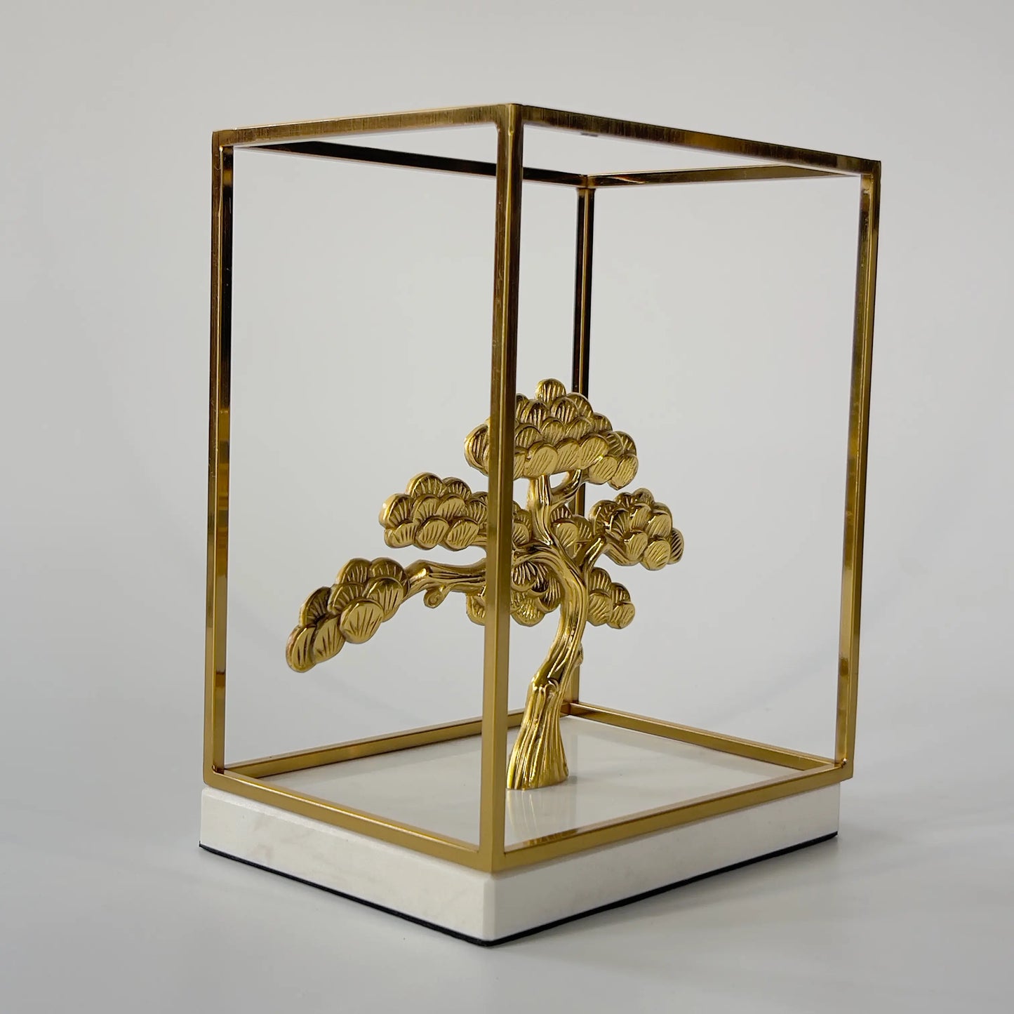 Moyogi Bonsai in Metal Frame S