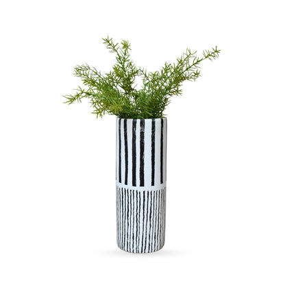 Australian Asparagus Fern