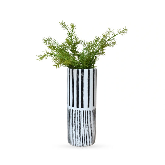 Australian Asparagus Fern