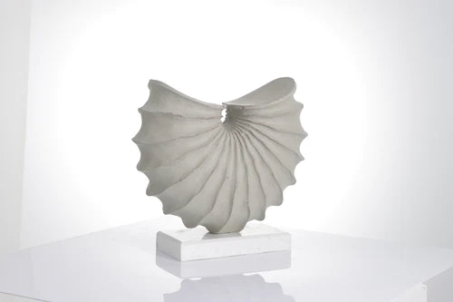 Cephalopads Ammonite Shell Sculpture