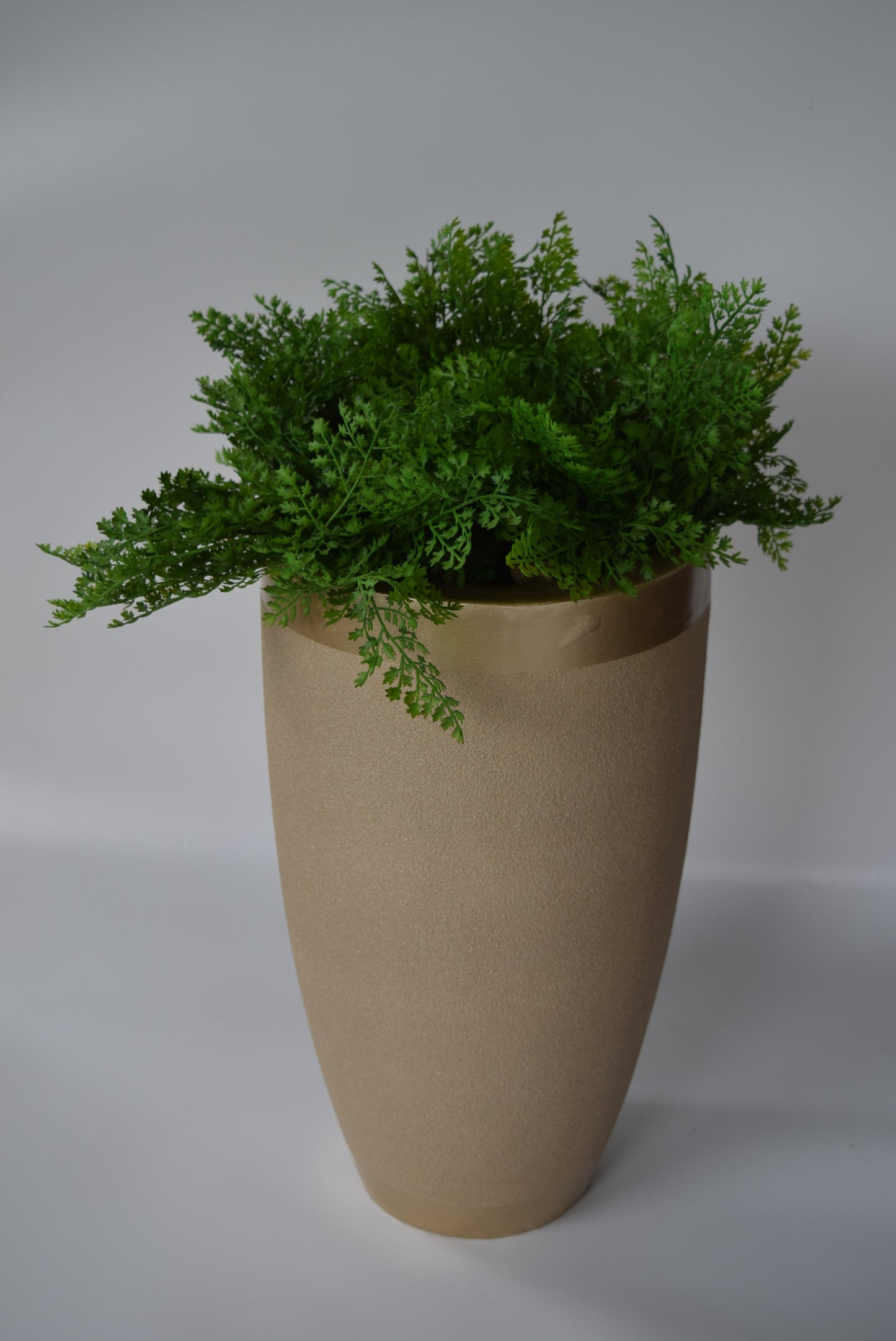 Marcus Planter