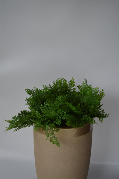Marcus Planter