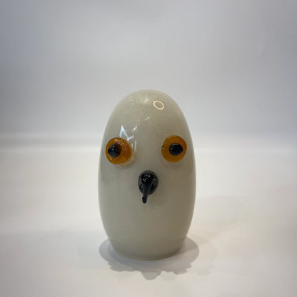 Ivory Owl
