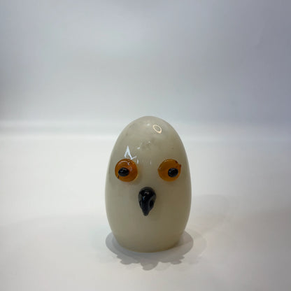 Ivory Owl