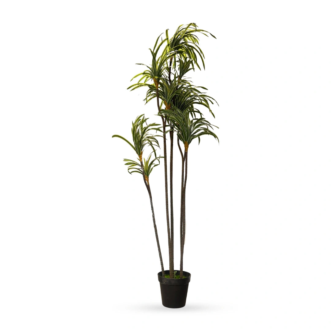 Madagascar dragon tree artificial plant for modern home decor