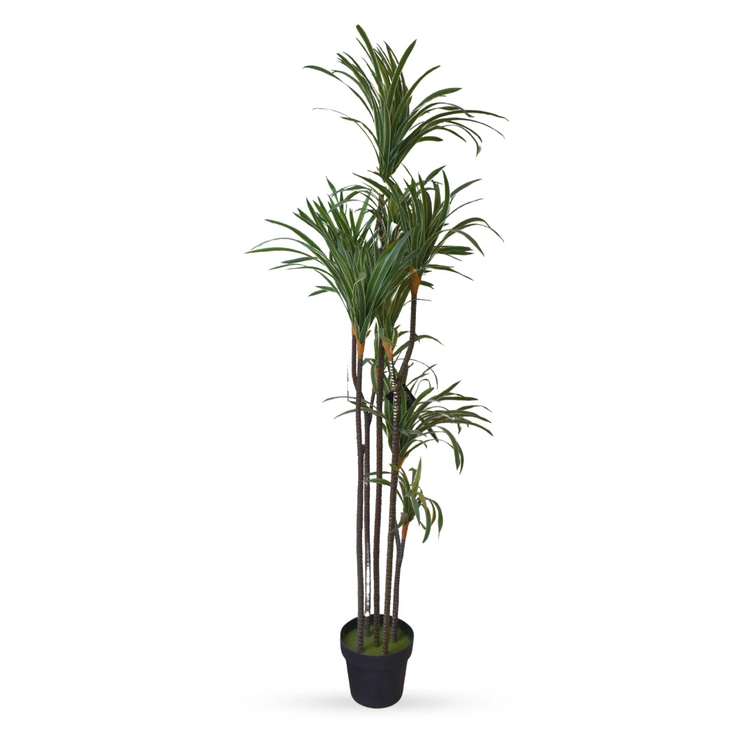 Madagascar dragon tree artificial plant for modern home decor
