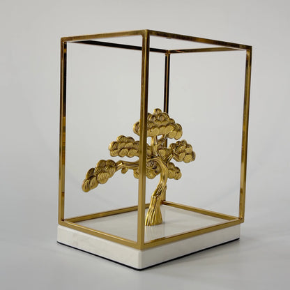 Moyogi Bonsai in Metal Frame S