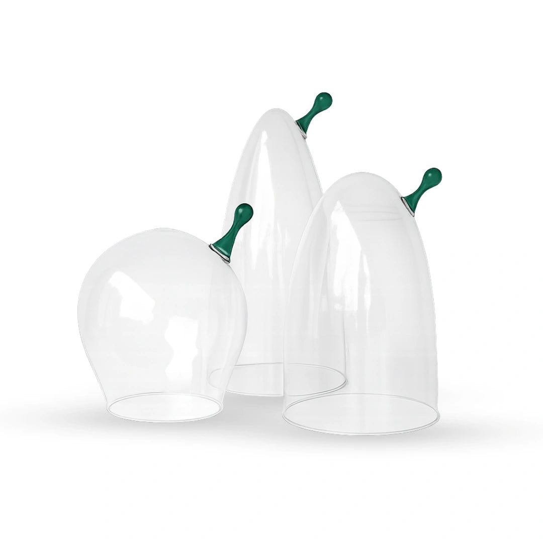 Sprout glass cloche contemporary decorative glass accent for modern home interiors