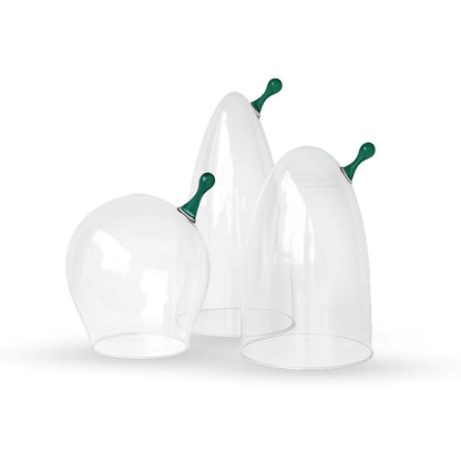 Sprout glass cloche contemporary decorative glass accent for modern home interiors