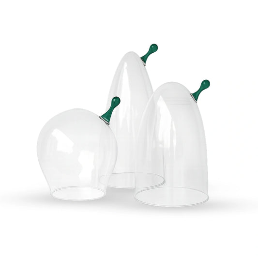 Sprout glass cloche contemporary decorative glass accent for modern home interiors