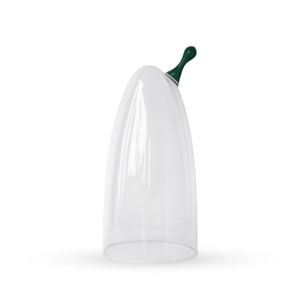 Sprout glass cloche contemporary decorative glass accent for modern home interiors