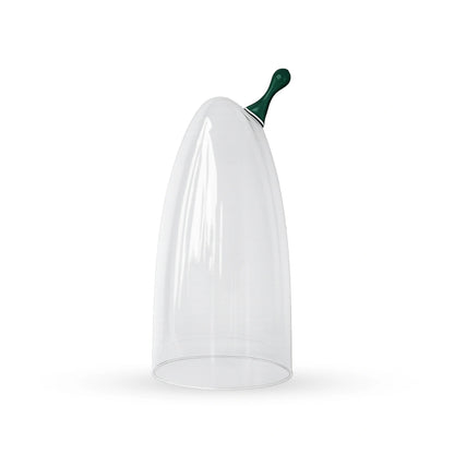 Sprout glass cloche contemporary decorative glass accent for modern home interiors