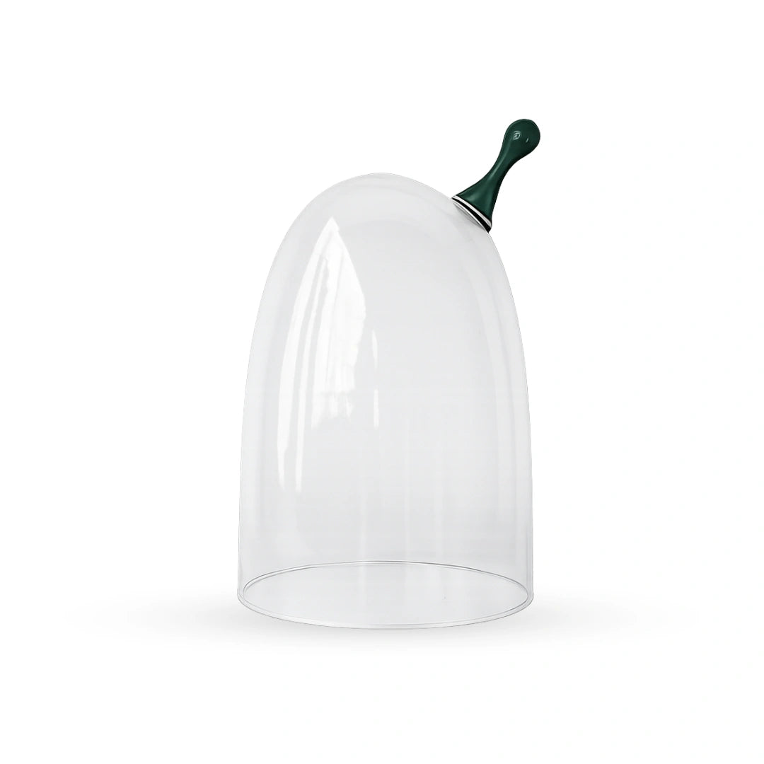 Sprout glass cloche contemporary decorative glass accent for modern home interiors