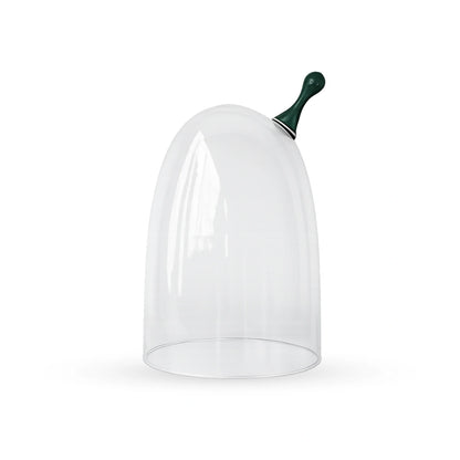 Sprout glass cloche contemporary decorative glass accent for modern home interiors
