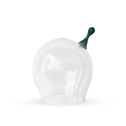 Sprout Glass Cloche