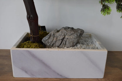 BONSAI TREE IN SQUARE POT