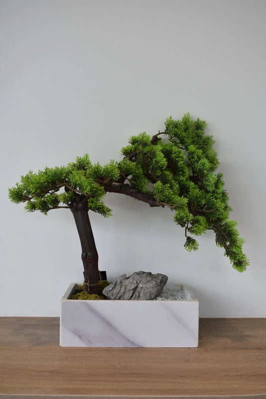 BONSAI TREE IN SQUARE POT