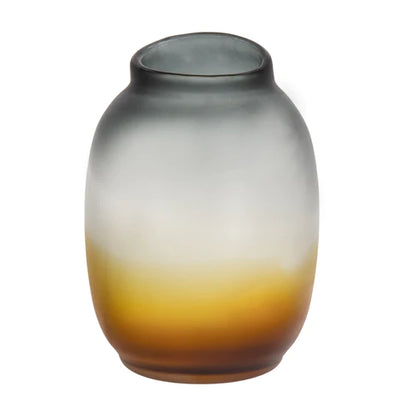 Zylar Translucent Multi Colour Vase