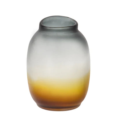 Zylar Translucent Multi Colour Vase